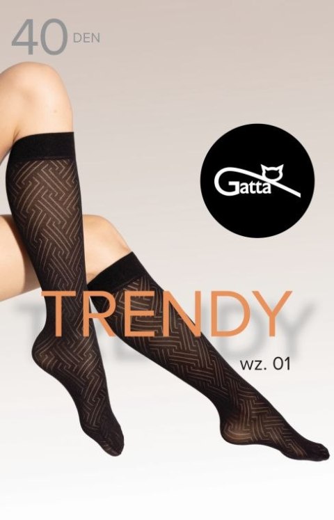 TRENDYLINE KNEE SOCKS 01, 02 - PODKOLANÓWKI DAMSKIE WZORZYSTE 40 DEN - 000.65Y - TRENDY 24/25 wzór 01 NERO